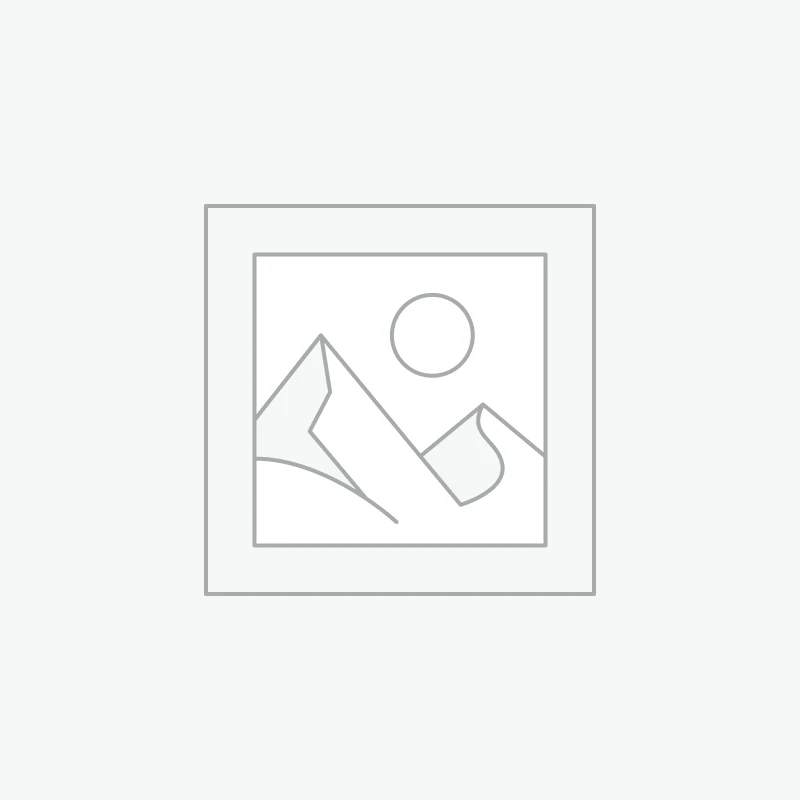 Wireless Earbuds Pro